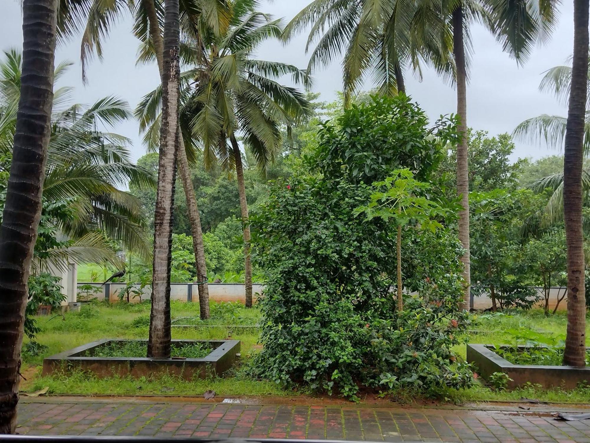 Jayadurga Farms - An Eco-Friendly Homestay Udupi Extérieur photo